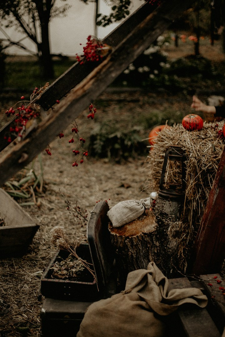 Фотограф в Краснодаре и Краснодарском Крае