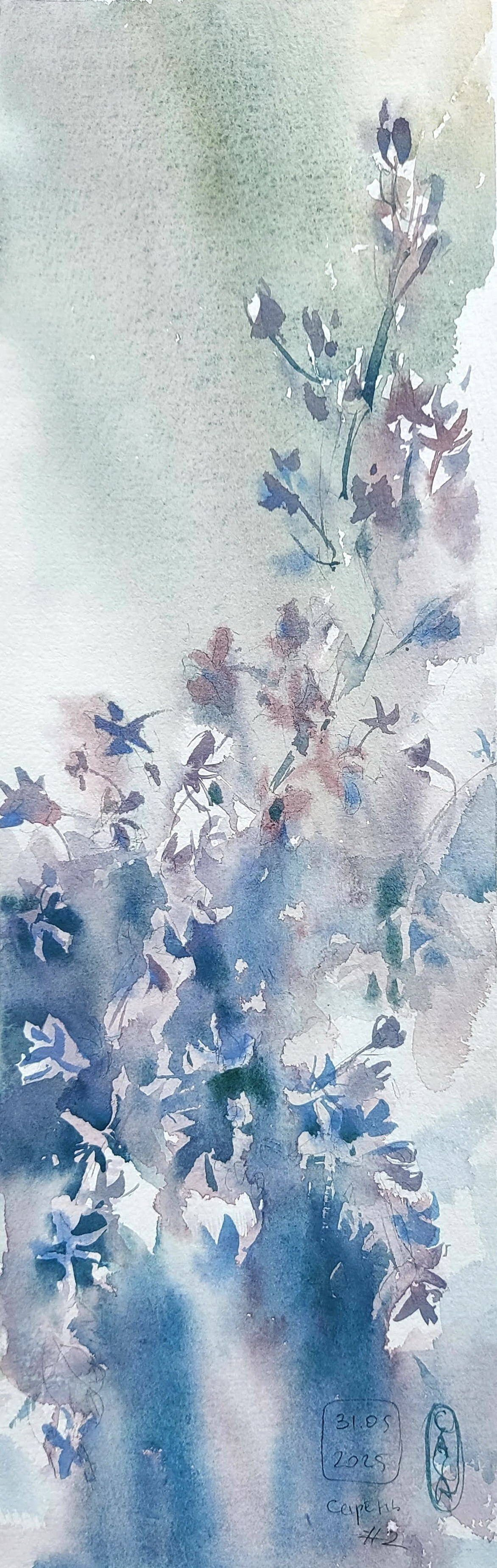 Flowers. Alexander Manaenkov | Watercolor Artist from Siberia