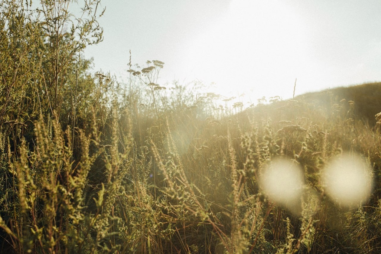 Счастливы вместе. Семейный фотограф в Краснодаре Анна Пасик