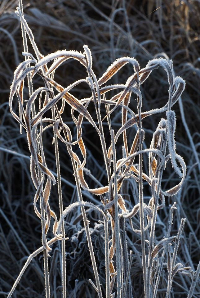 Пейзаж. OneSnap