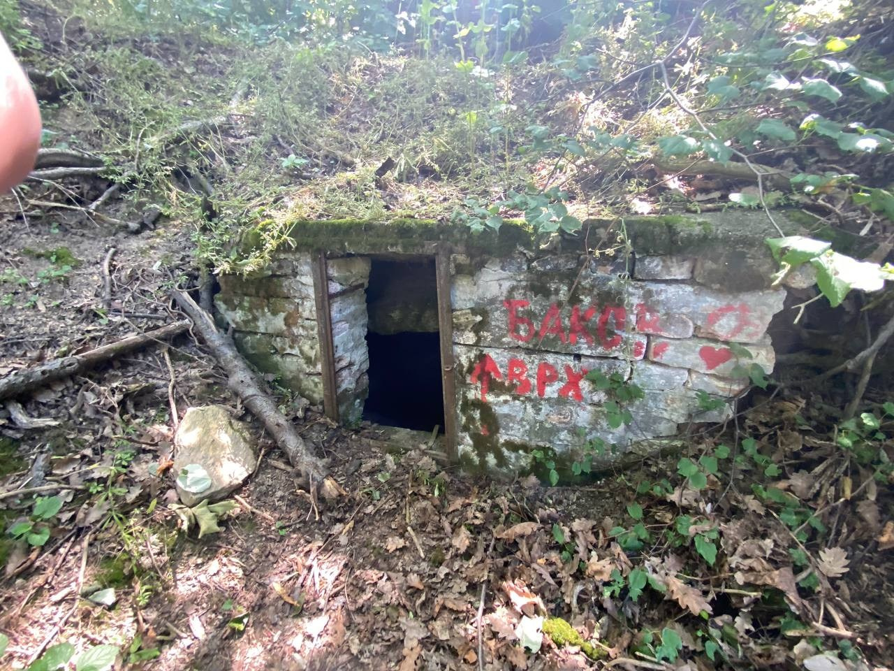 Александр Кузнецов — Эффект пульсации времени