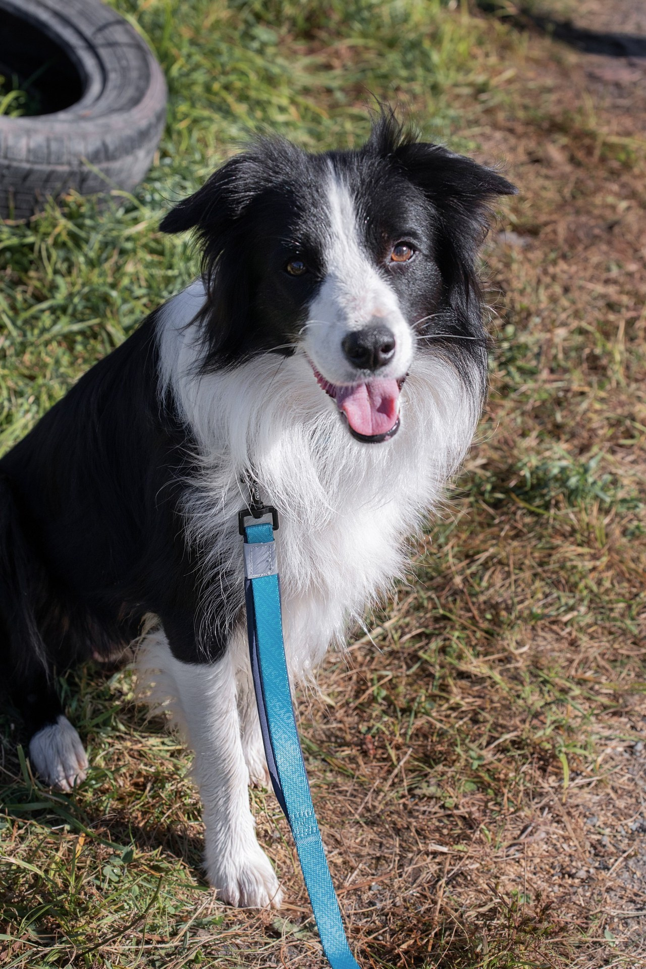 Отзывы. Семейный и частный фотограф во Владивостоке