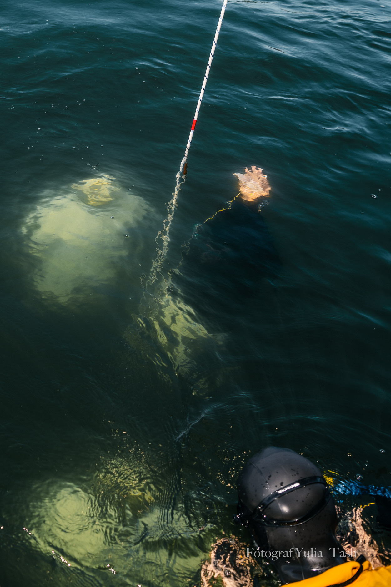 FREEDIVING. Любимый фотограф