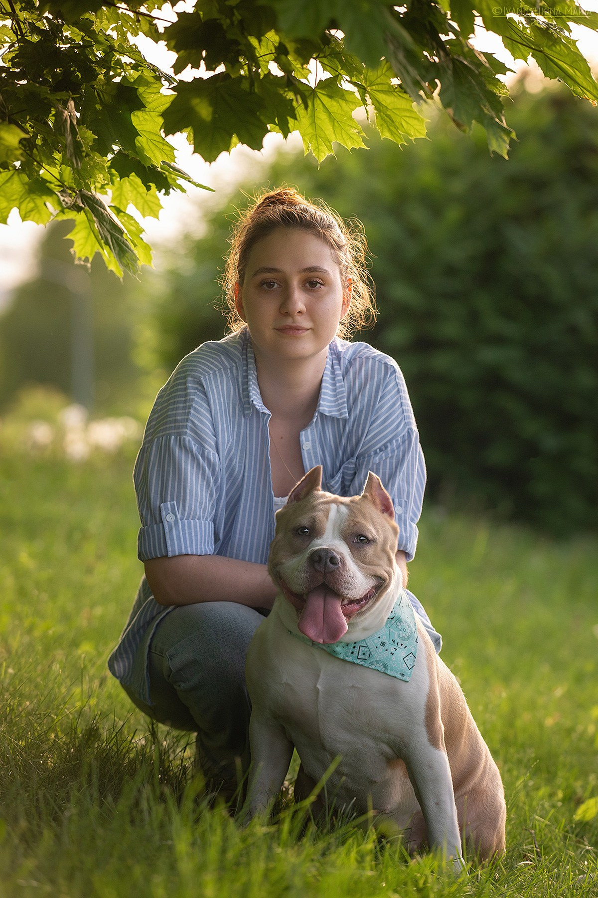 Фотосессия с собакой. Фотограф собак в Москве и Московской области Иванушкина Мария