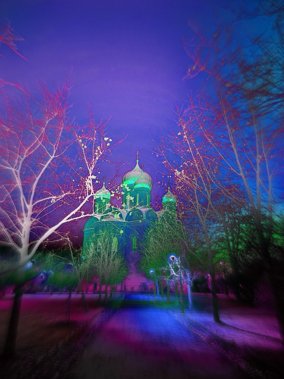 NEON LIGHT. VISUAL ARTIST