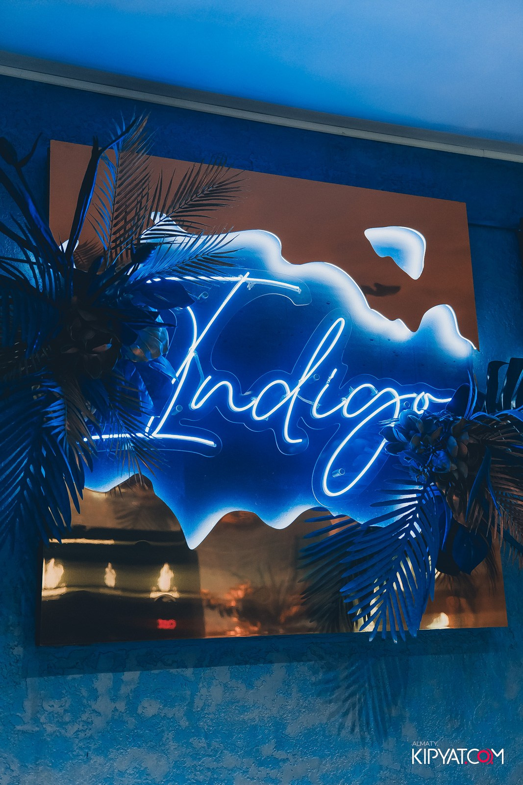 УХО И МЕДВЕДЬ НА КУРМАНГАЗЫ. КИПЯТКОМ АЛМАТЫ!