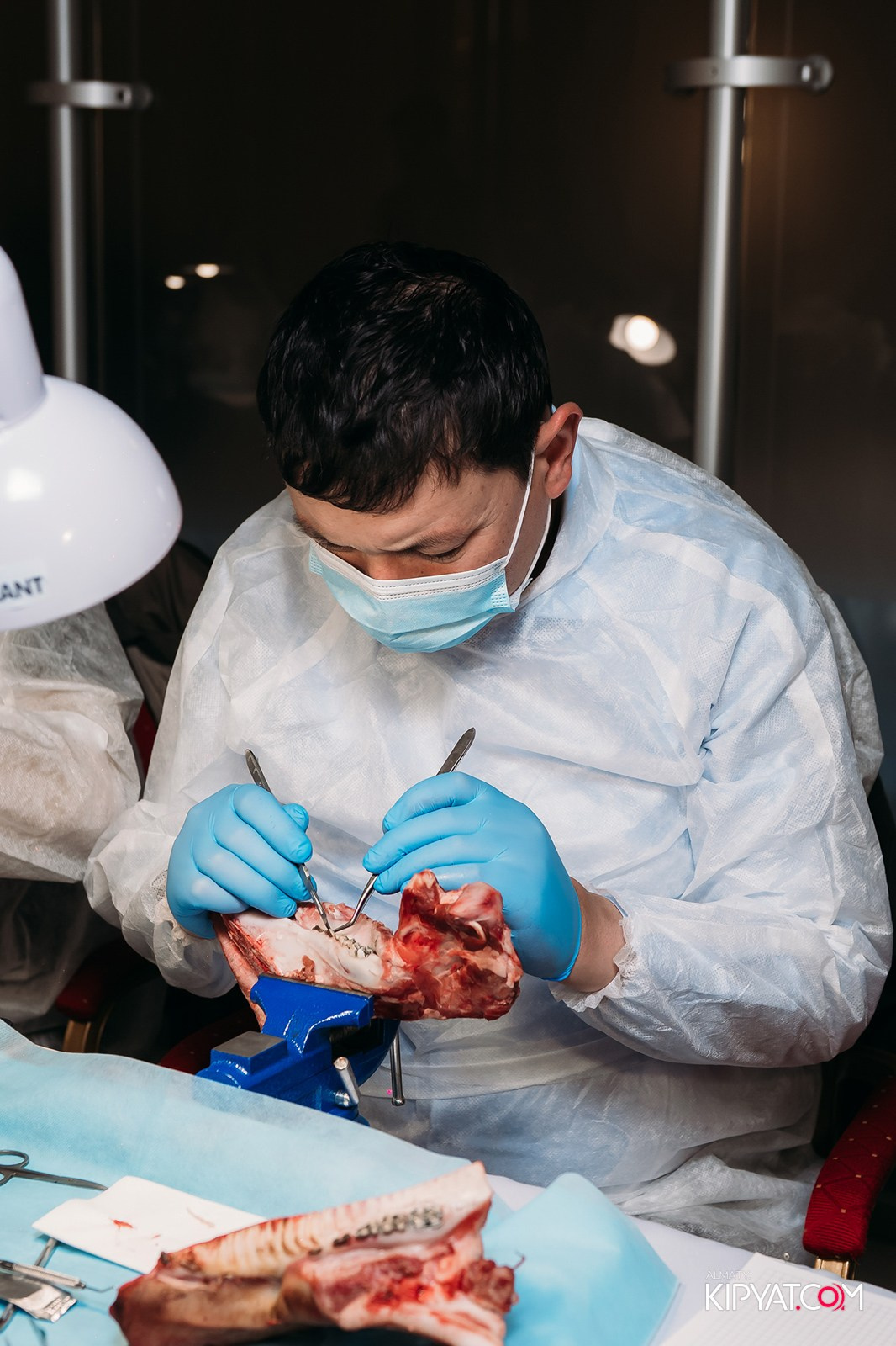 КУРС ДЛЯ СТОМАТОЛОГОВ ОСЛОЖНЕНИЯ В ХИРУРГИЧЕСКОЙ ПРАКТИКЕ КТО ВИНОВАТ И ЧТО ДЕЛАТЬ. КИПЯТКОМ АЛМАТЫ!