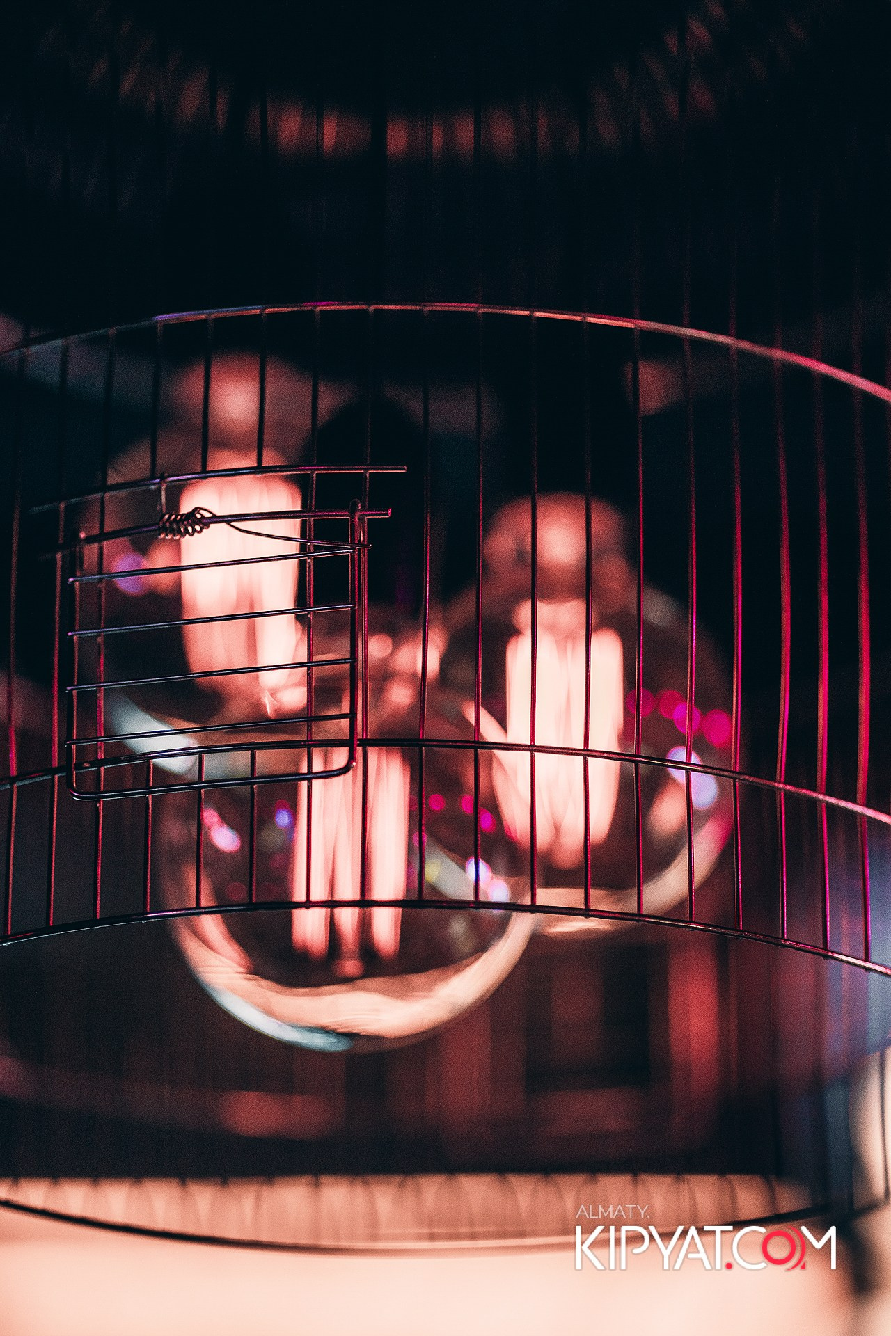 VICTORY MEXICAN AND WILD. КИПЯТКОМ АЛМАТЫ! Фотосъемка мероприятий в Алматы