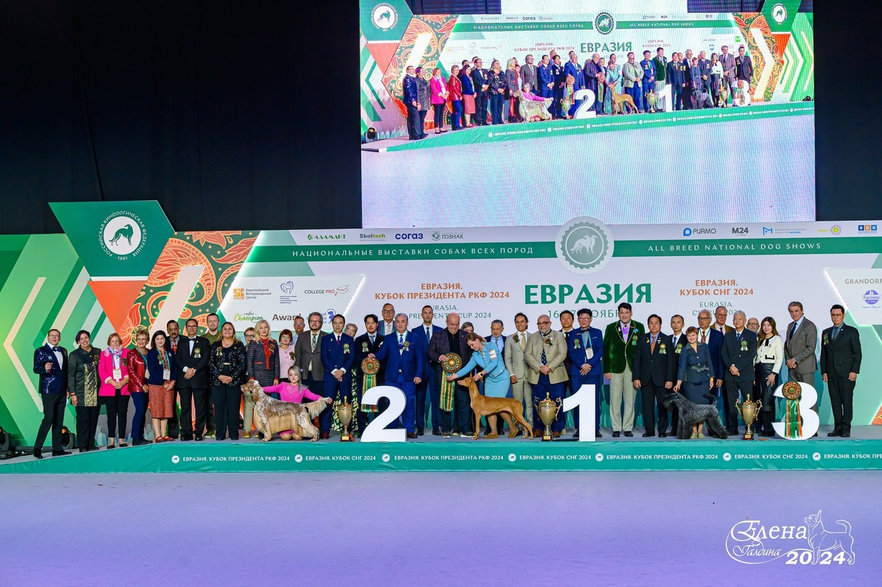 Отзывы. Фотограф анималист Елена Галдина г. Красноярск