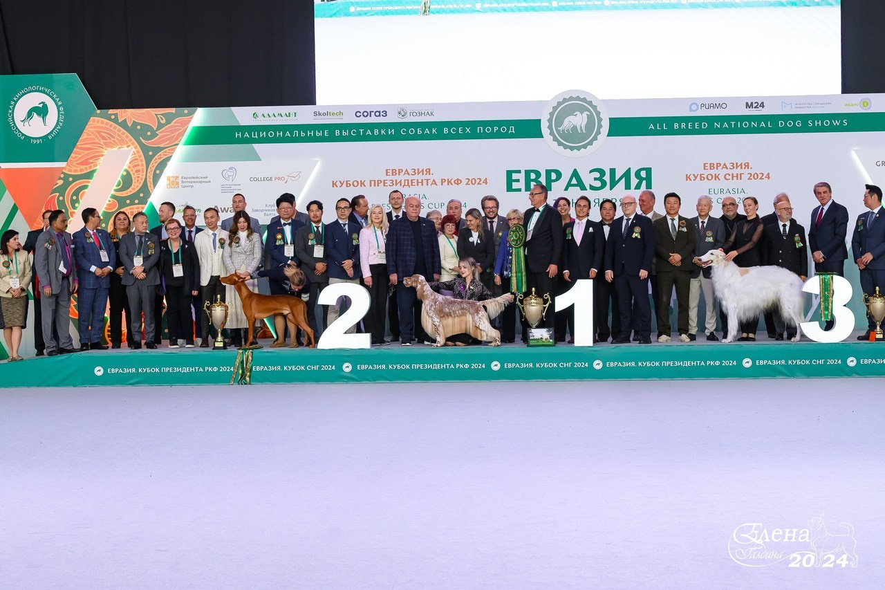 Отзывы. Фотограф анималист Елена Галдина г. Красноярск