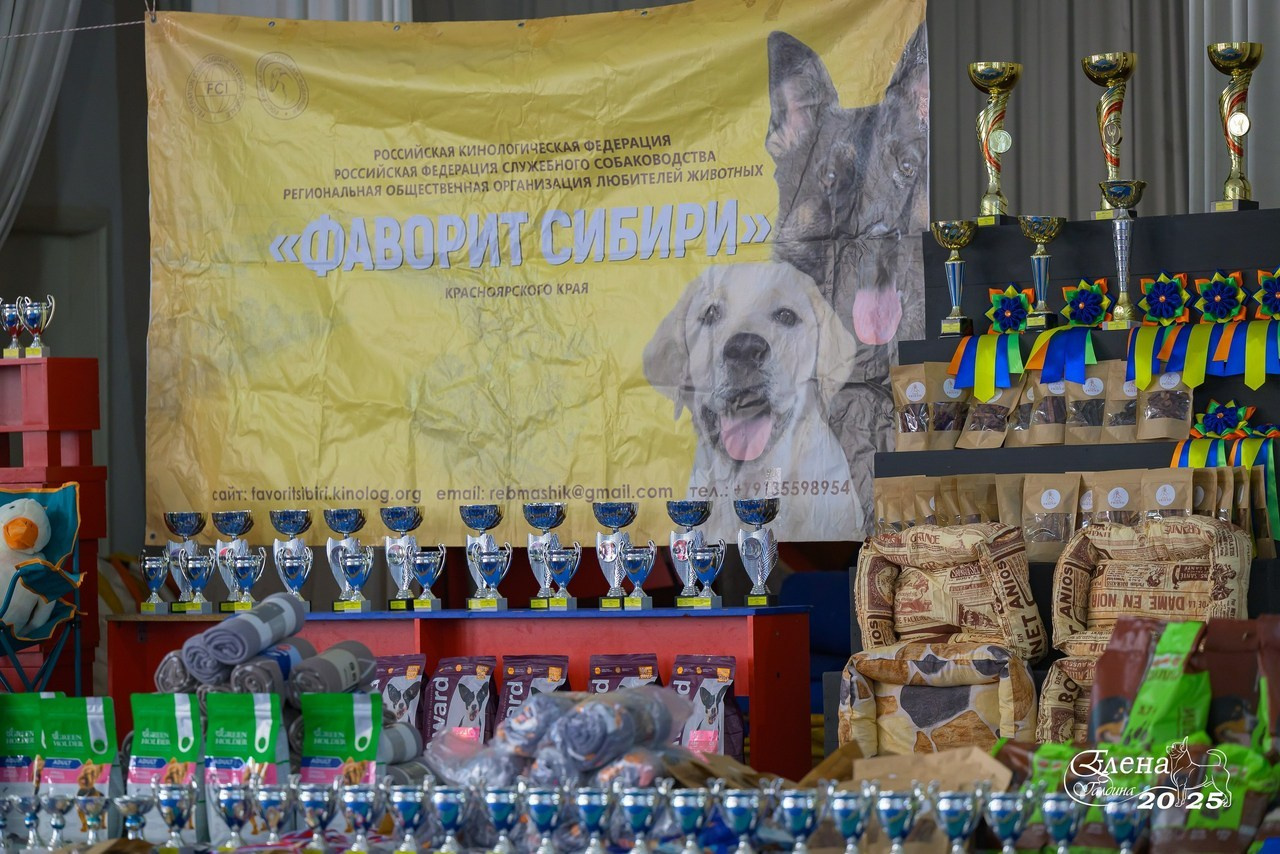 Отзывы. Фотограф анималист Елена Галдина г. Красноярск