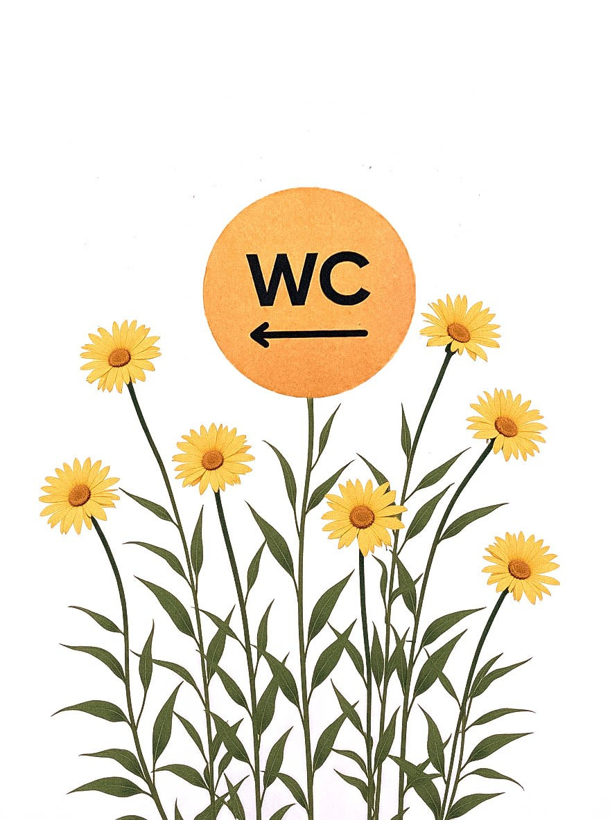 ПРИНТЫ. Виктория Князева| фотограф из Санкт-Петербурга