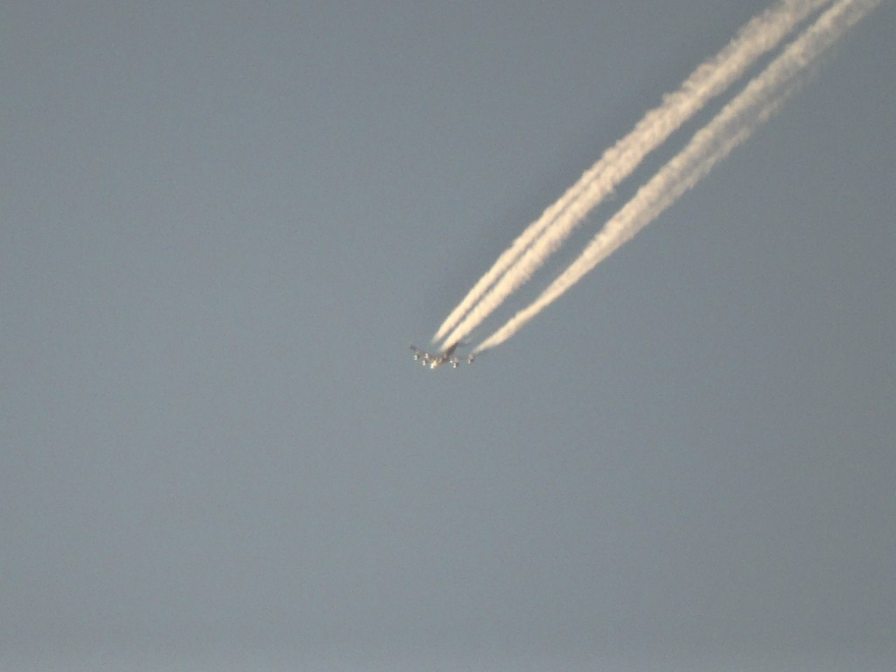 Шерше ля фам (шашлыки) | 07.03.2015. Галерея Фантим