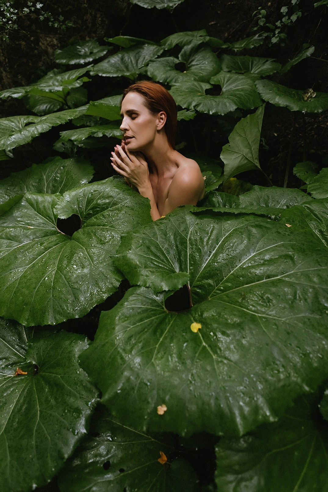 Оля портреты. Семен Соколов