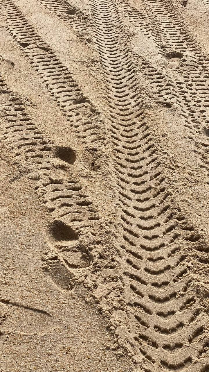 Распродажа курса: «Мобильная фотография». Алла Шевченко — продюсер — наставник