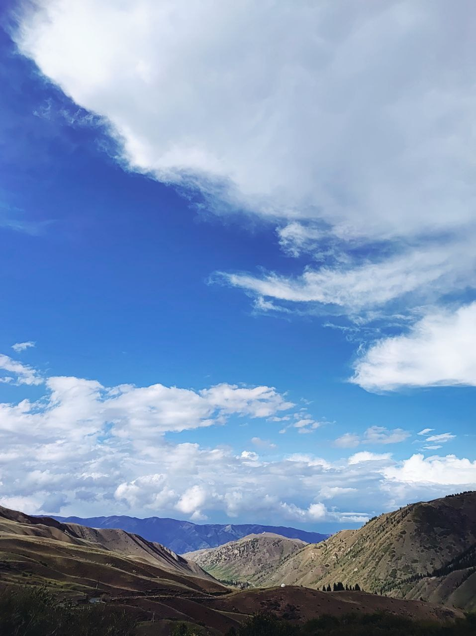 Намобилкус казахский. Репортажный фотограф Алексей Пирязев