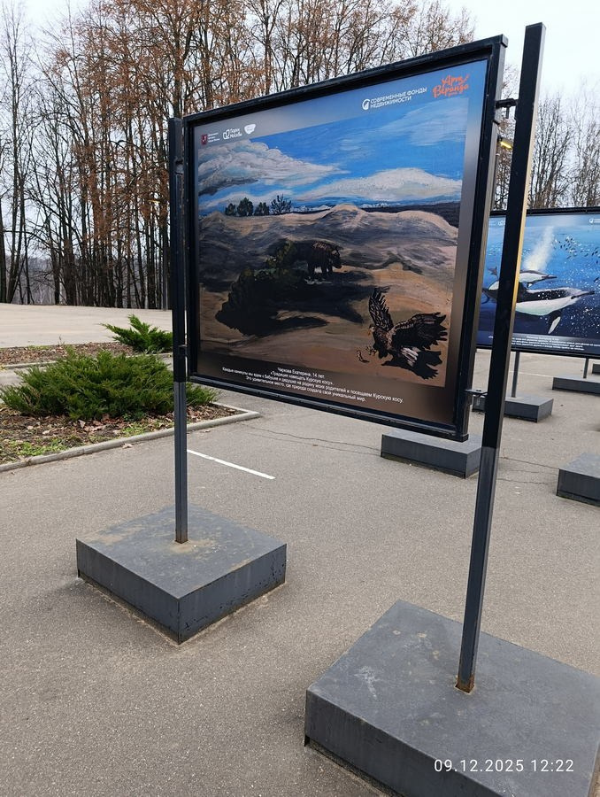 Шашкина Юлия Владимировна. Галерея участников Российской Премии Искусств