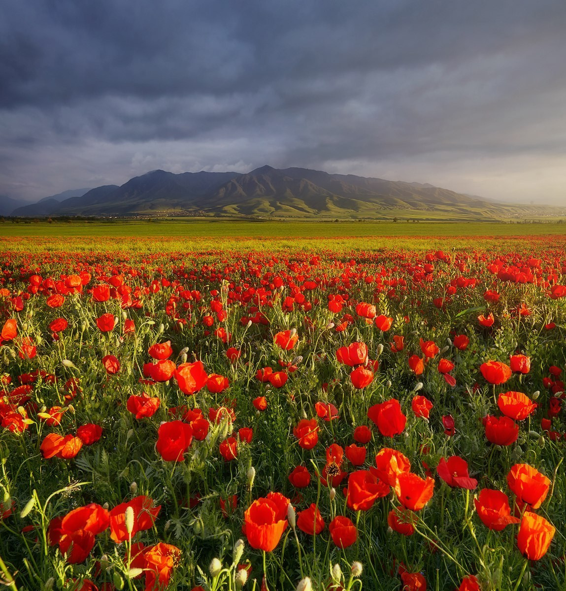 Landscapes. Sergey Sutkovoy — Designer, photographer, traveler, woodworker