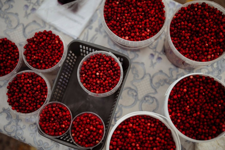 Сюжет № 12|Волкова Дарья