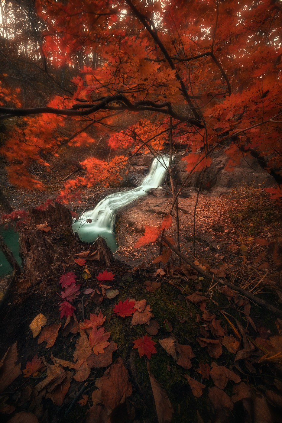 Пейзаж. Андрей Кровлин — фотограф в Славянке