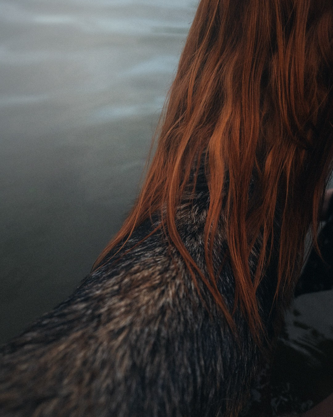 Вика и Фрея. Фотограф анималист в Москве и Санкт-Петербурге Свиридова Анна