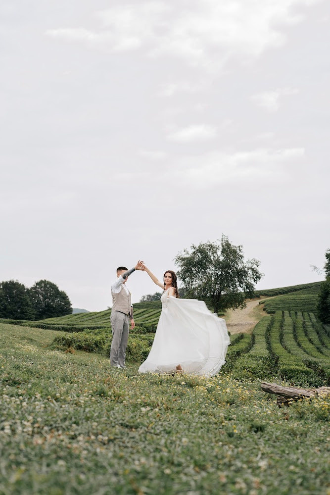 Чайные плантации Мацесты