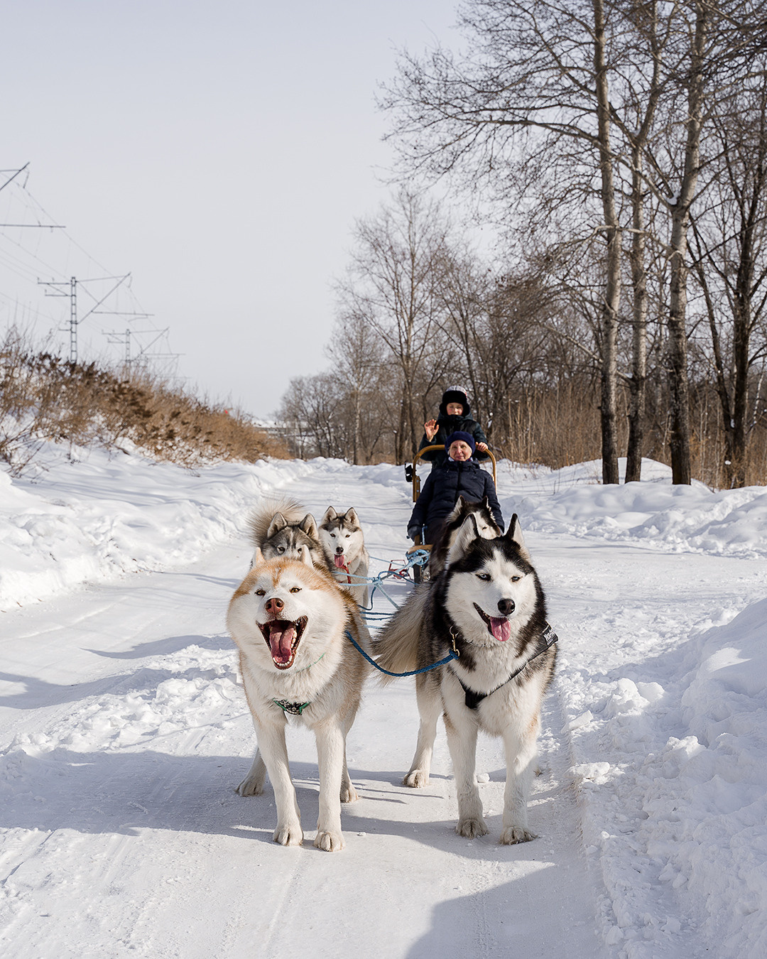Деревня хаски. Контент-фотограф в Нижнем Новгороде Антошина Ольга
