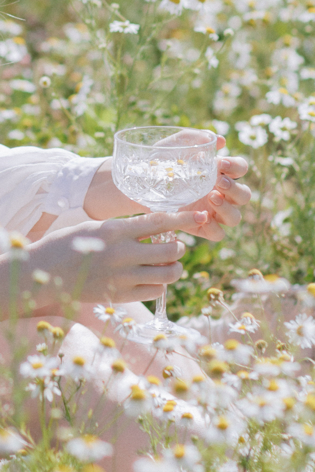 Коктейль из ромашек. Свадебный и семейный фотограф в Перми Дергачева Кристина