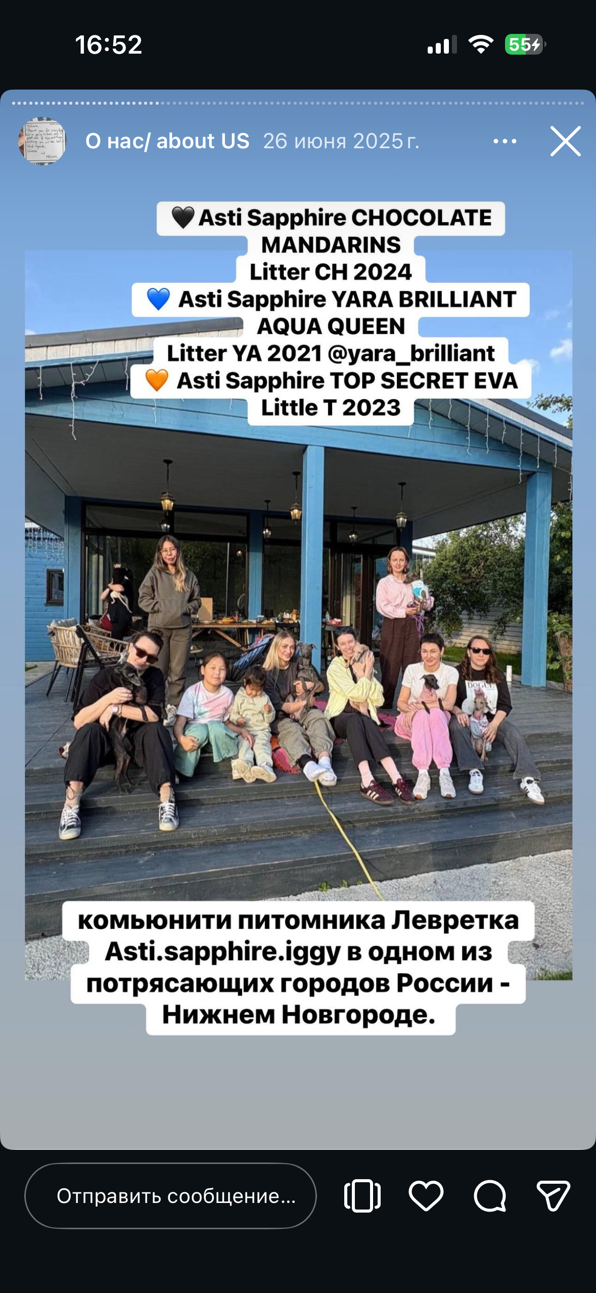 Отзывы от наших любимых владельцев. Профессиональный питомник левреток РКФ/FCI ASTI SAPPHIRE 💎 Сочи|Санкт-Петербург