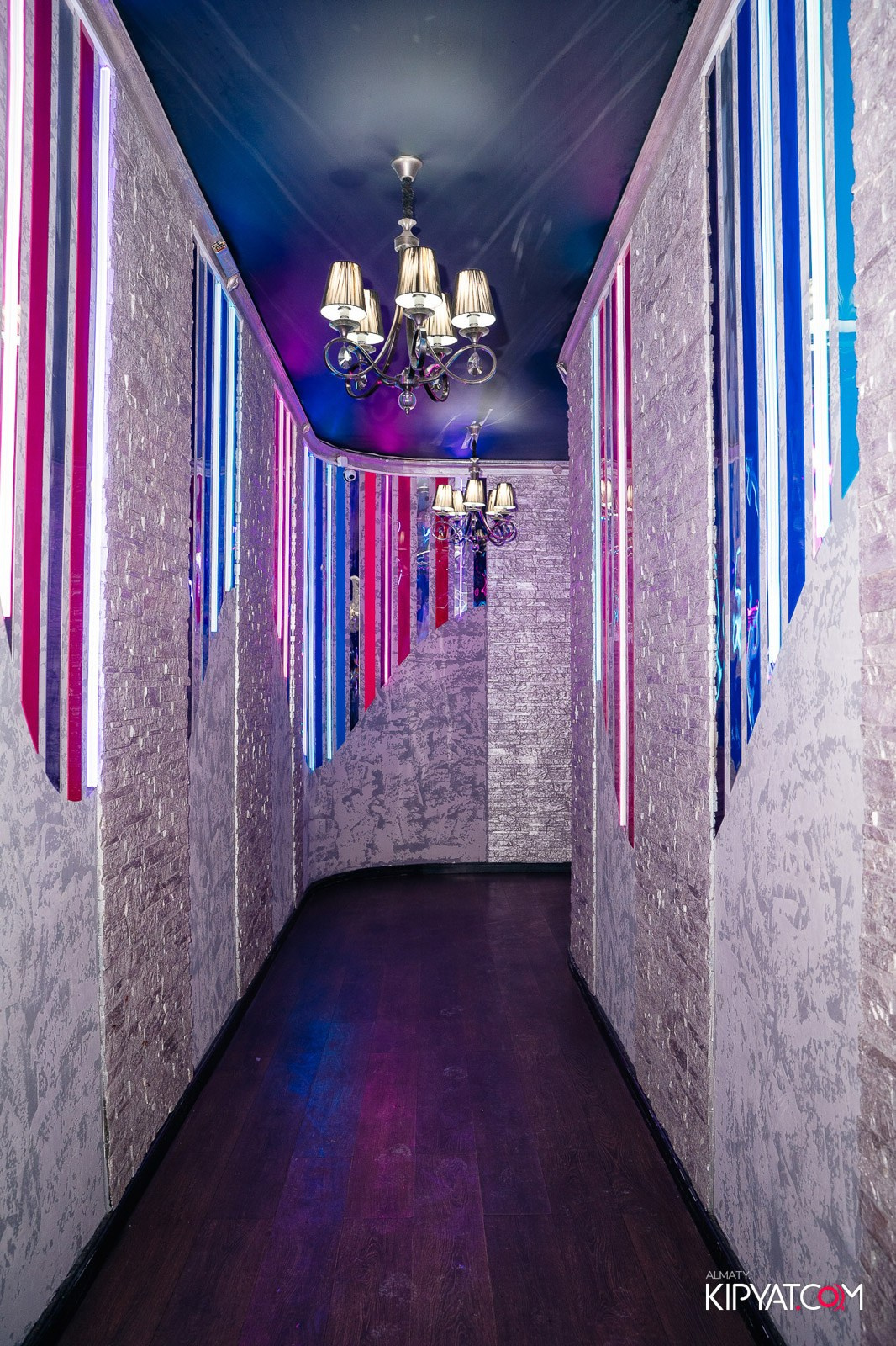 УХО И МЕДВЕДЬ НА ГАГАРИНА. КИПЯТКОМ АЛМАТЫ!