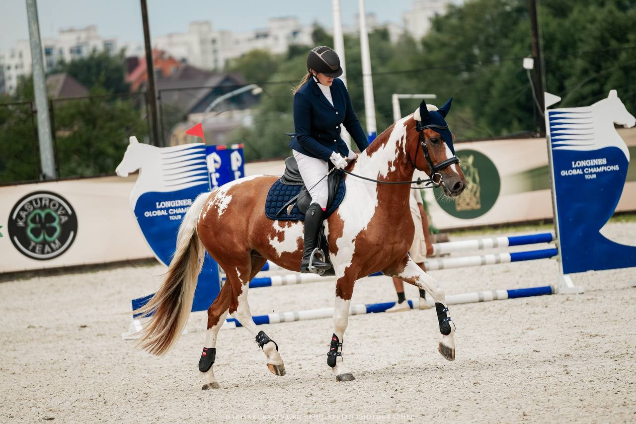 Муниципальные соревнования по конкуру КСК «Виват, Россия!». Куракина Дарья • Конный фотограф