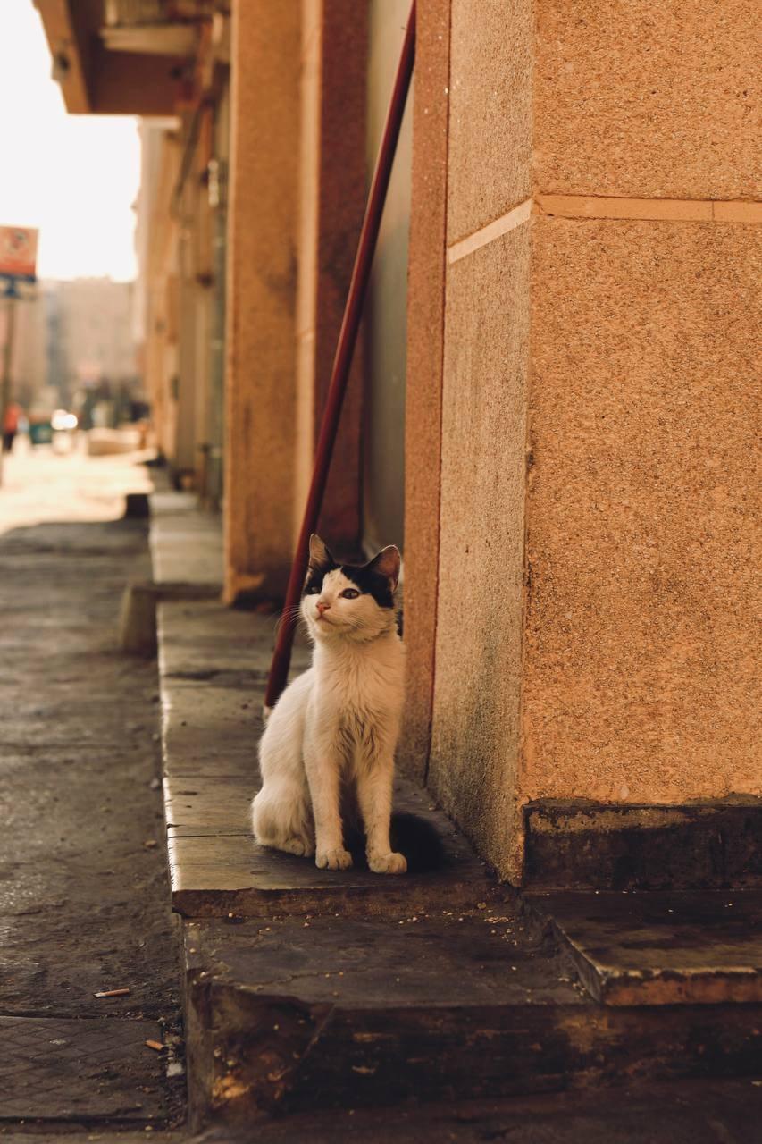 Эль-Джубайль. СА. 2025. Фотограф Михаил Олейник