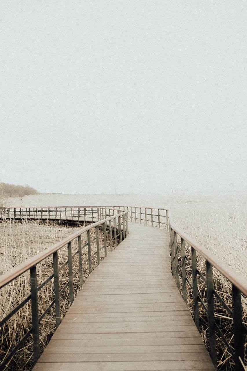 Санкт-Петербург. Александра Мельниченко/ Бегающий фотограф