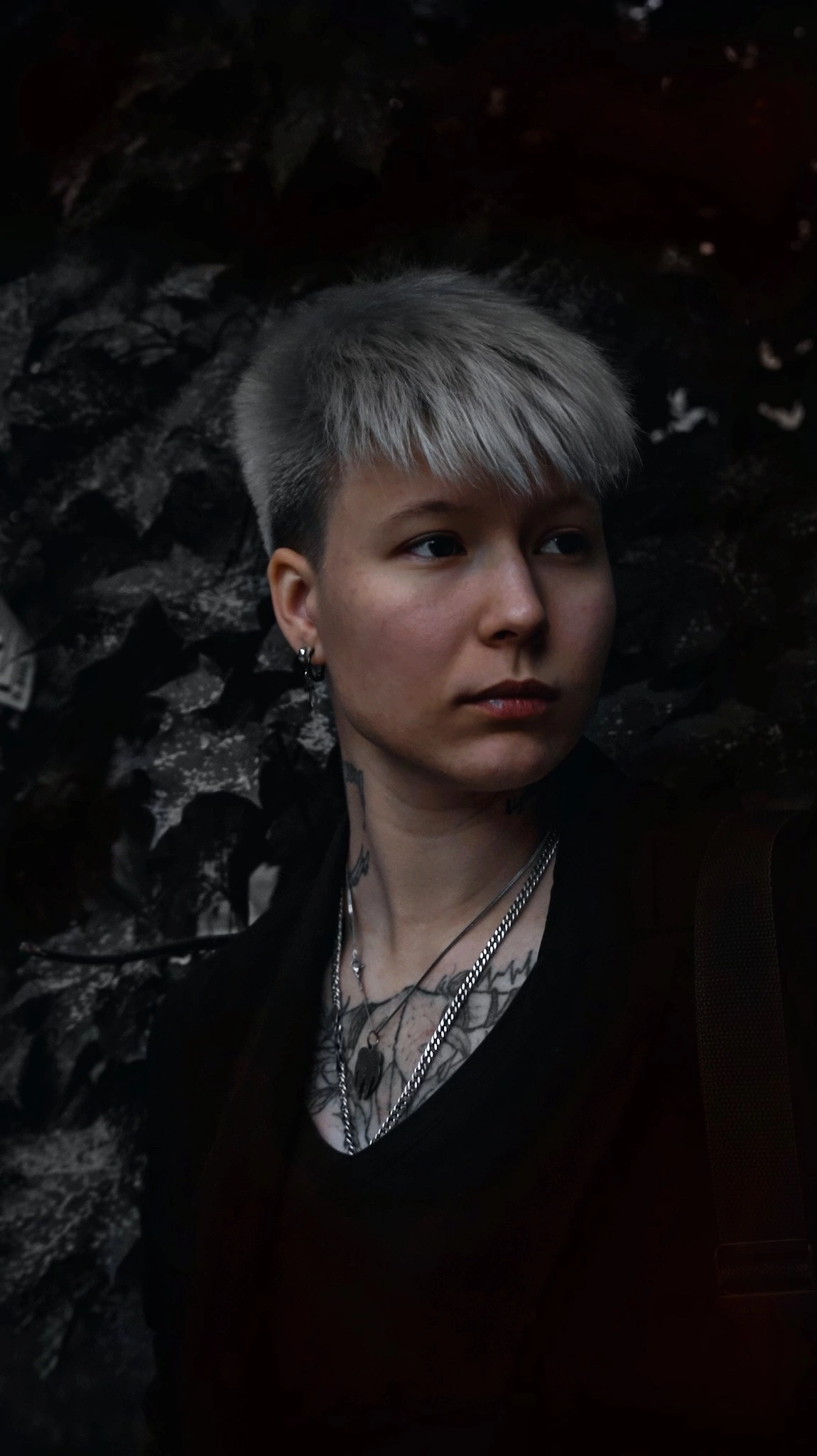 Профессиональный фотограф