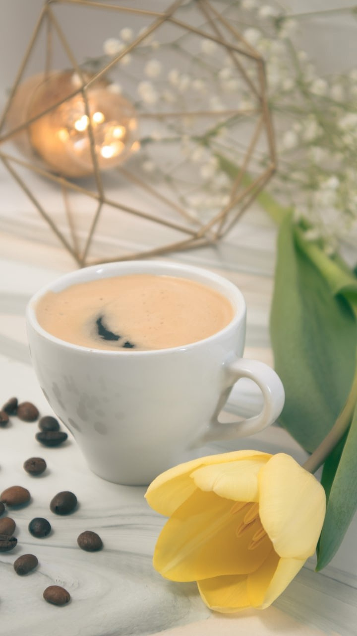 Каталожная и предметная съемка. Игорь Бобров, #второйфотографсмоленска. Фото и видео для людей и бизнеса