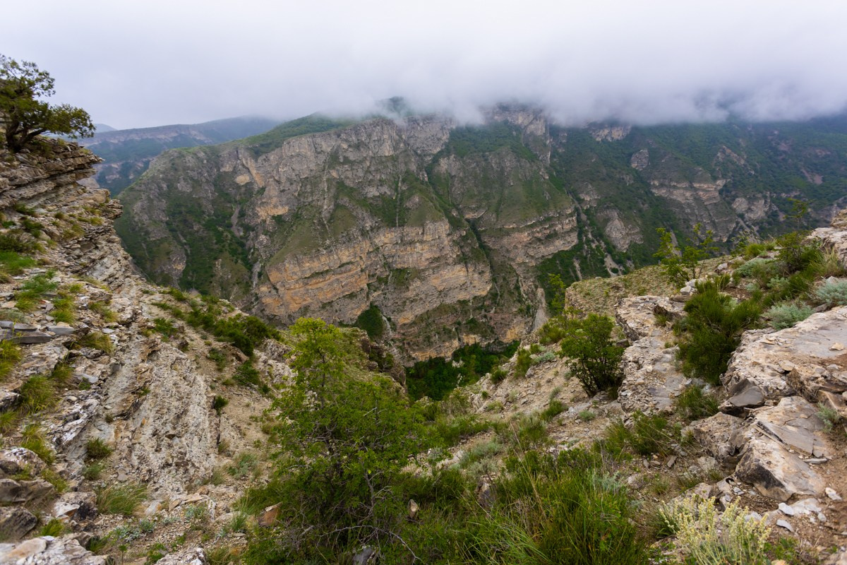 Горы. Photomantis