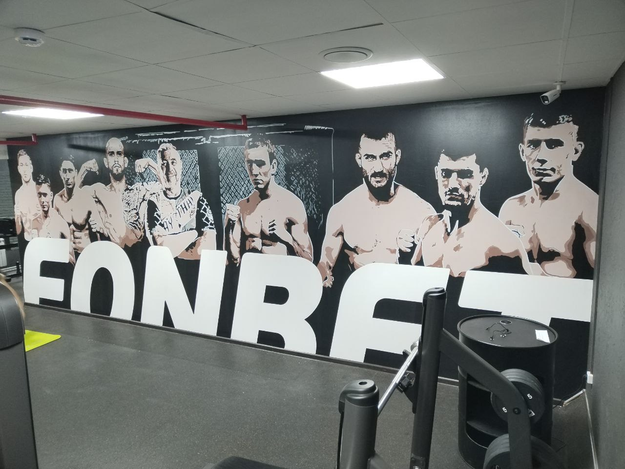 Художественная роспись стен и фасадов в Минске и Беларуси