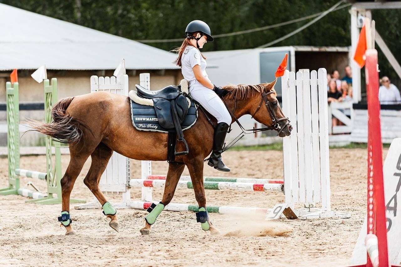 ЛЕТНИЙ КУБОК КСК «СОЗВЕЗДИЕ» по КОНКУРУ. Конный фотограф Куракина Дарья • Фотосессии с лошадьми