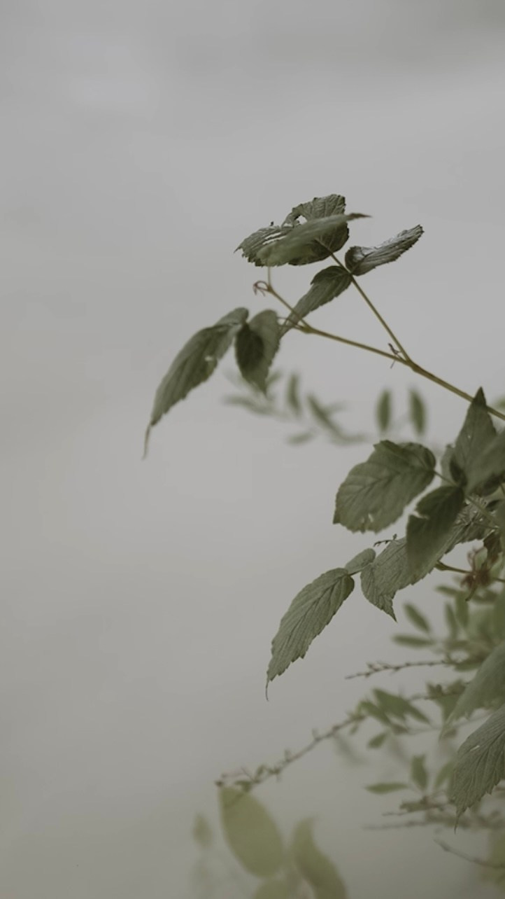 СВАДЕБНЫЙ ВИДЕОГРАФ В ЧЕЛЯБИНСКЕ И ЕКАТЕРИНБУРГЕ