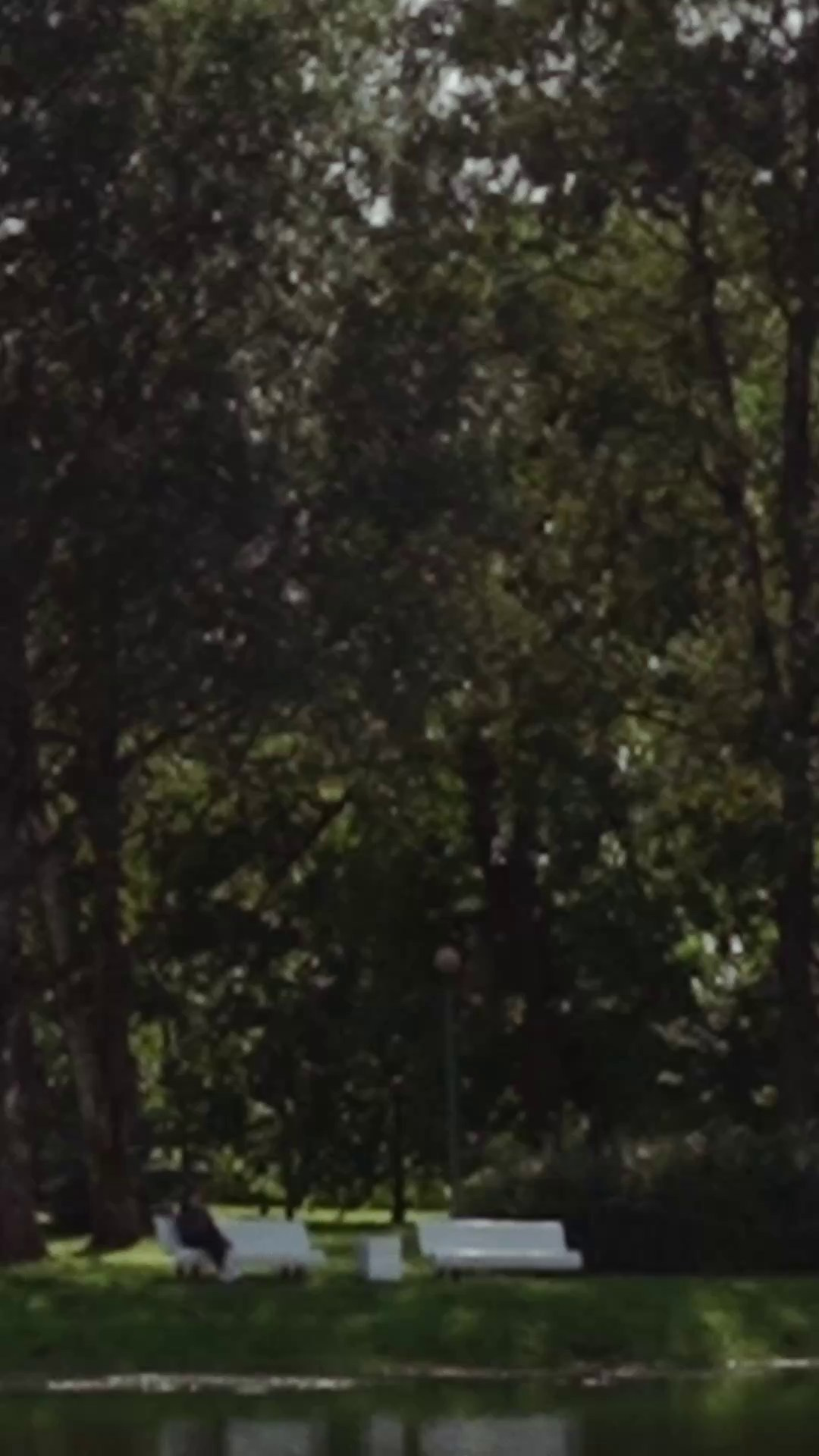 Клиенты. Натали Прошу видеограф в спб фотограф спб бренд видео fashion