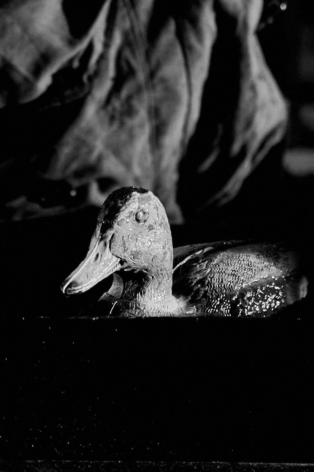 Утиная охота. Фотограф Юлия Маринина