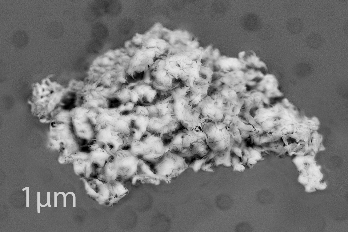 Кто сломал снеговика?. Наталья Орешина документальный и арт-фотограф из Санкт-Петербурга
