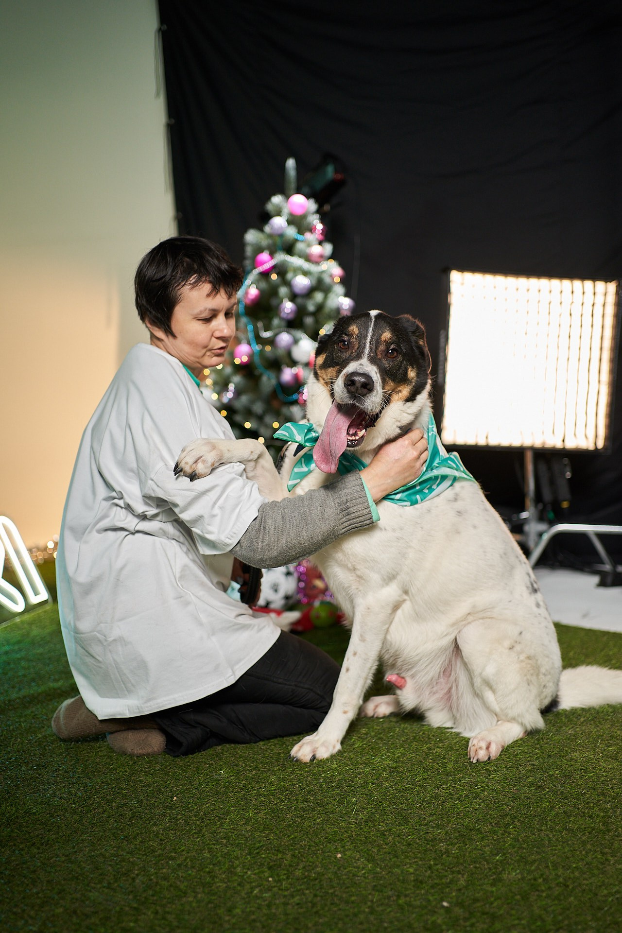 Проект «Андердоги» для коллаборации Фонда «Рэй», Sports.ru, Пари. Фотограф анималист Москва Дарья