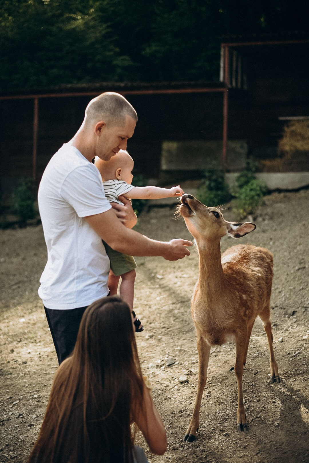 Эко-парк Каткова. Фотограф в Сочи — Маргарита Поганова