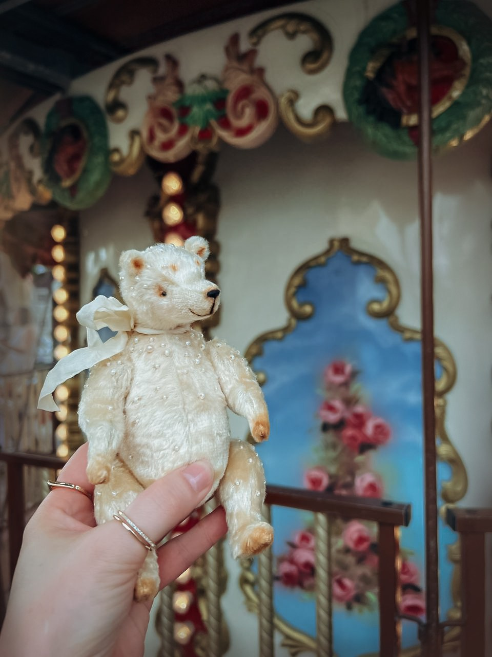 Тедди. Фотограф Ольга Сальманович