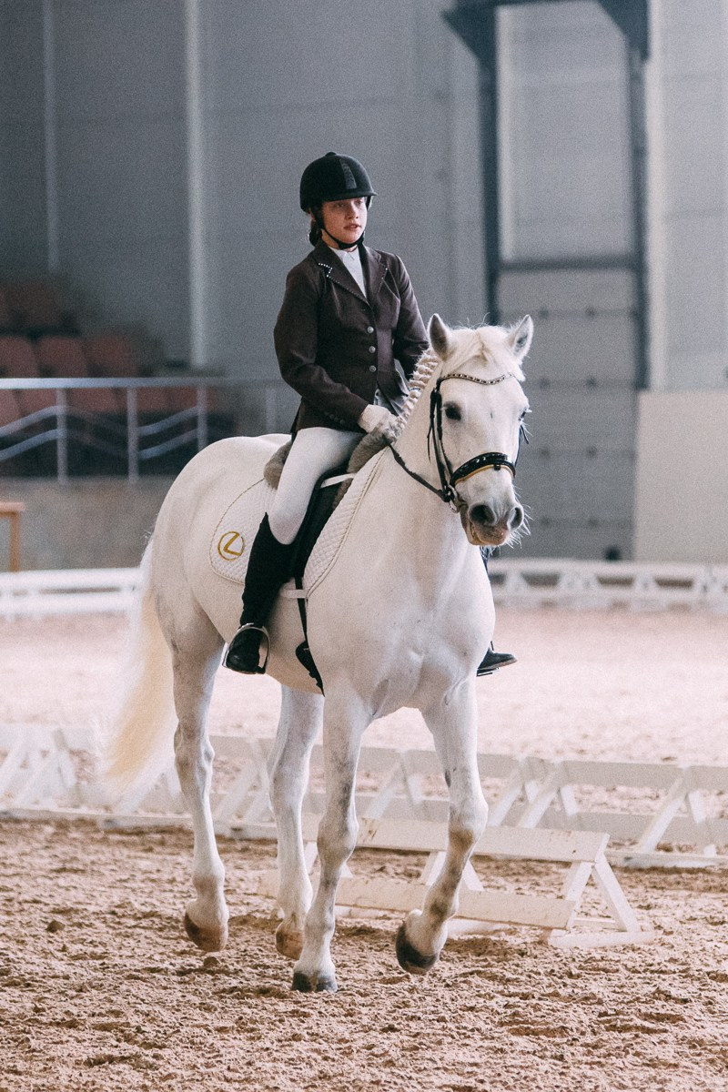 Выездка КСК «Дерби». Репортажный и семейный фотограф в Санкт-Петербурге Тарас Марченко