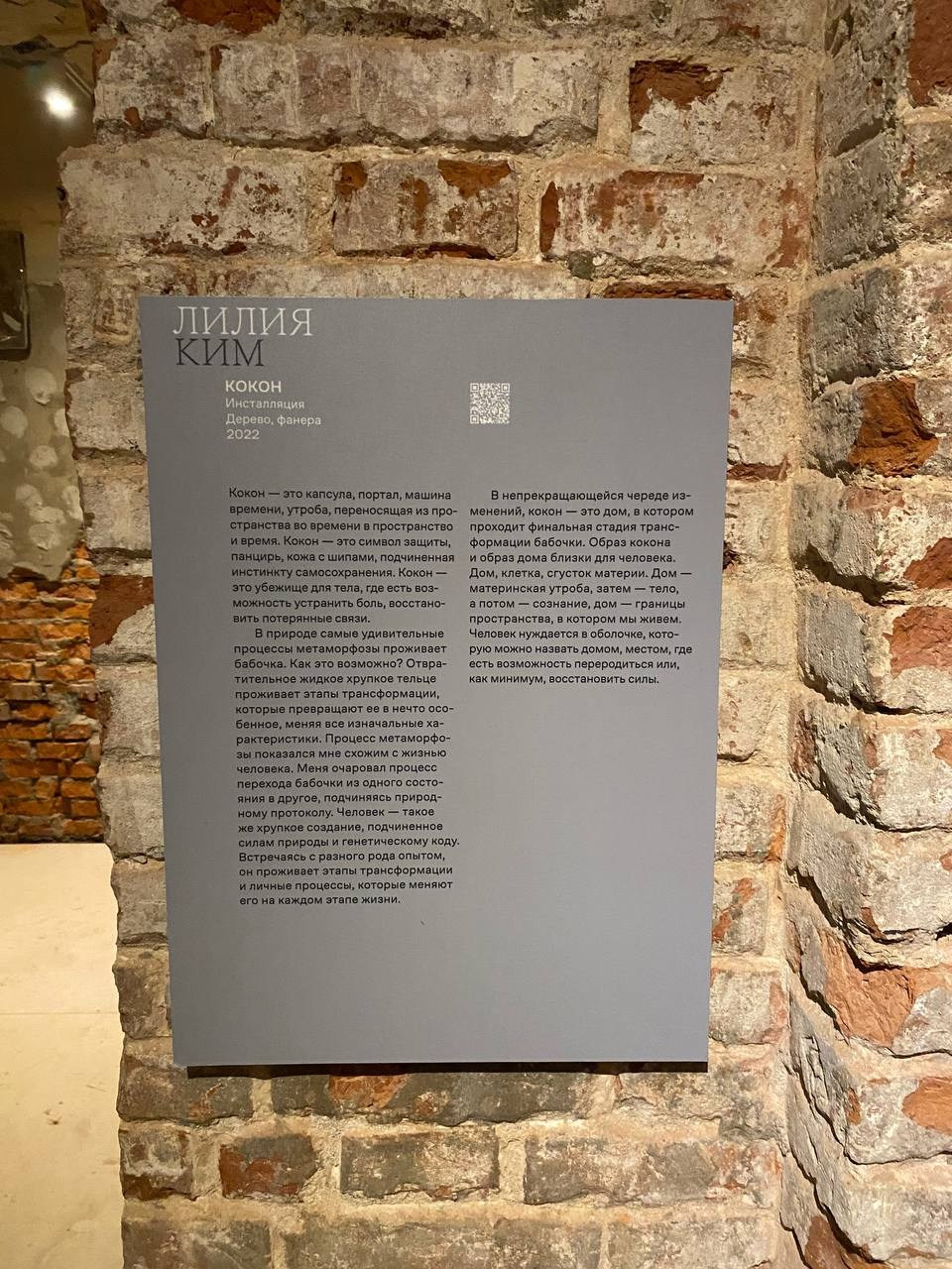 «Кокон». Лилия Ким. Междисциплинарный художник