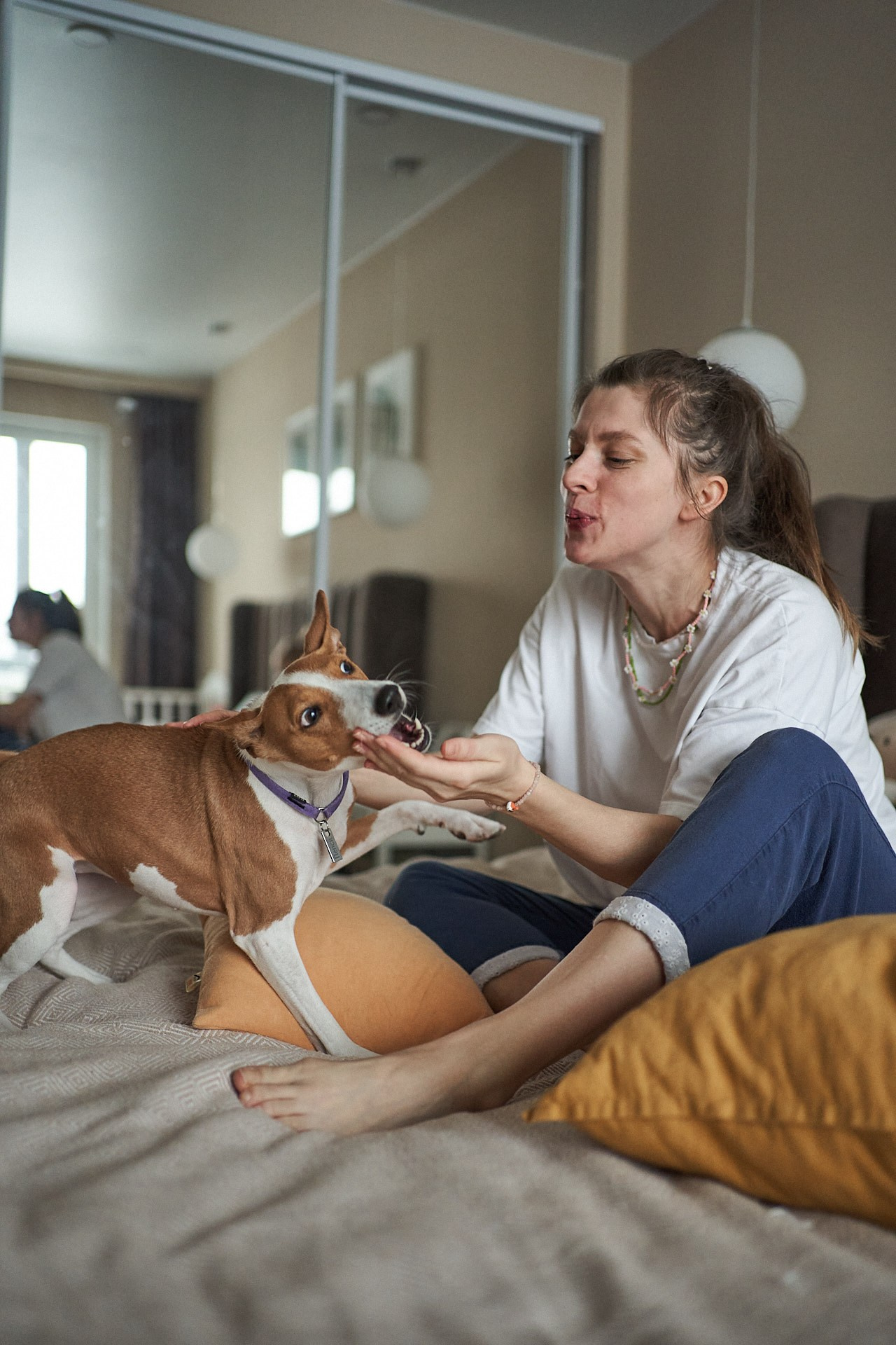 Аня, Майя и Пепси. Фотограф анималист Москва Дарья