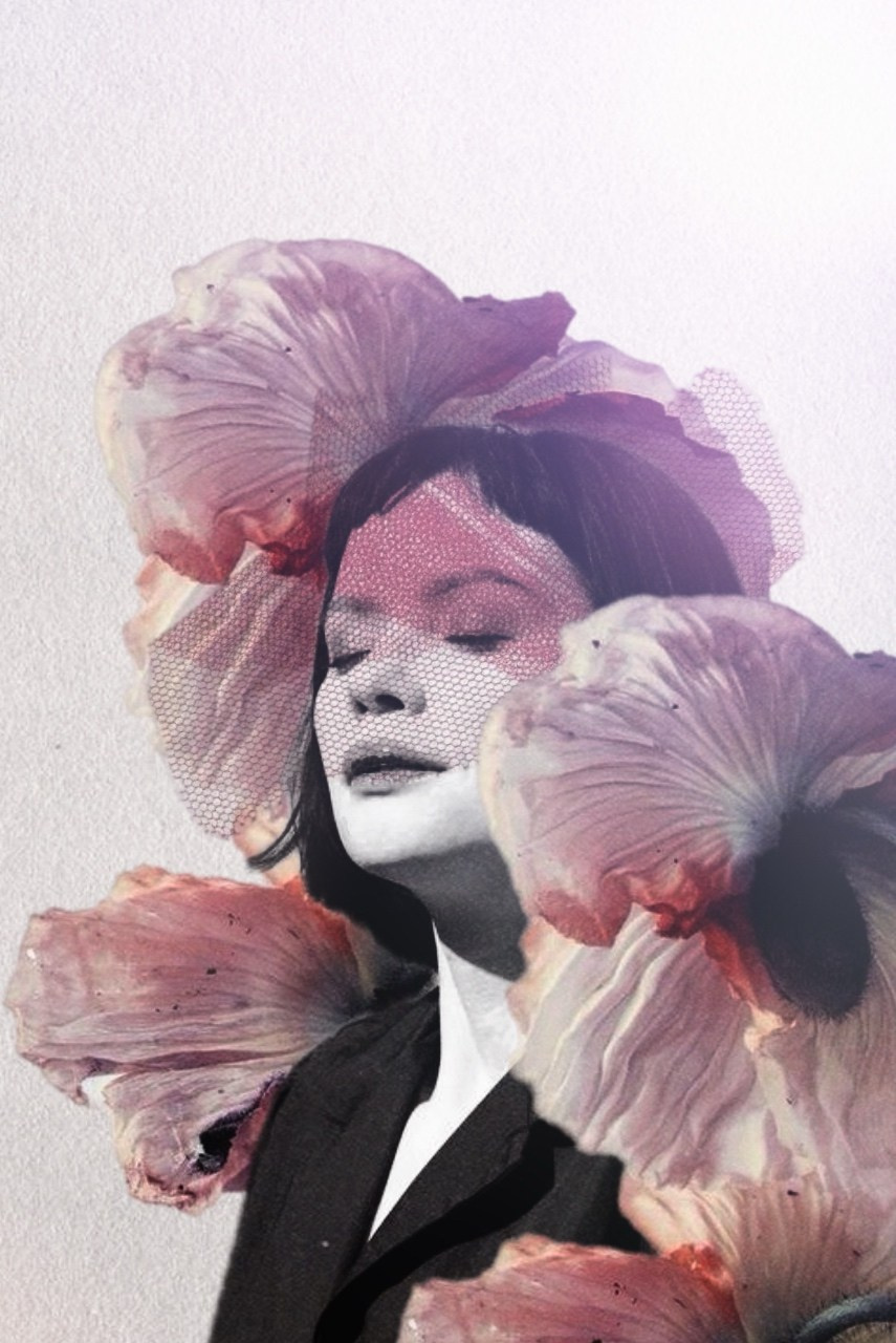 Collages. Марковы: фото, видео, кино и книги