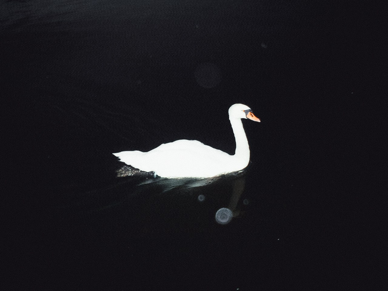 Fujifilm FinePix S4500. Анна Мильч